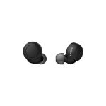 Sony WF-C500 True Wireless Earbuds