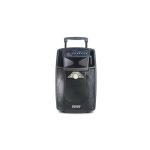 Temeisheng SL 10-01 Trolley Speaker