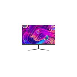 Hikvision DS-D5024F2-BP2 23.8" FHD IPS Monitor