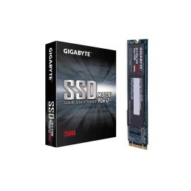 Gigabyte 256GB M.2 2280 SSD