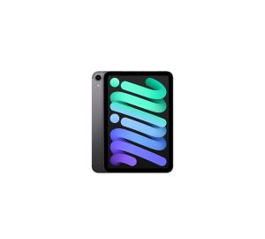 Apple iPad Mini 6th Gen 256GB Cellular & WiFi Space Gray Tablet