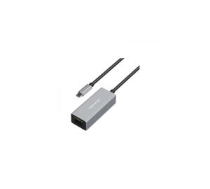 Yuanxin Type-C Male to Lan Female Silver Converter