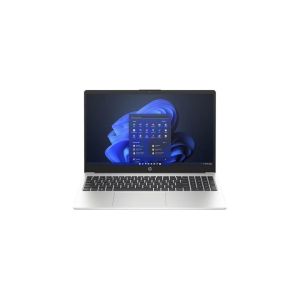 HP 250 G10 Core i3 13th Gen Laptop (Silver)