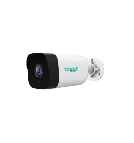 Toggi TSL-HD-BC2L4P Plastic Bullet 2mp AHD Camera