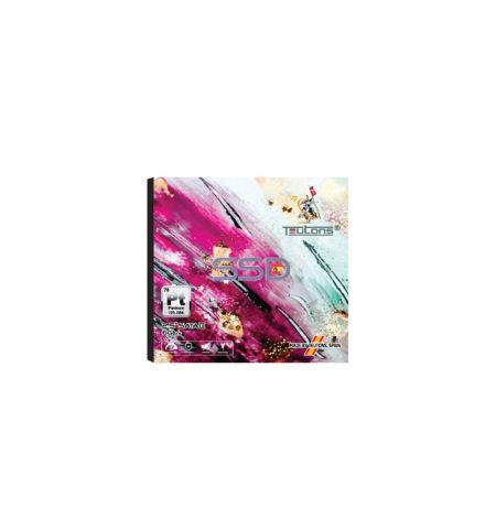 Teutons Platinum 512GB 2.5 Inch SATA SSD