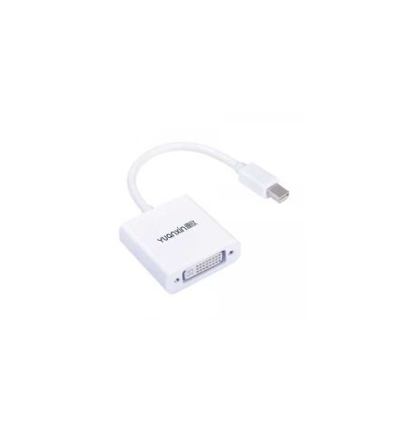 Yuanxin Mini DisplayPort Male to DVI Female White Converter