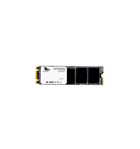 TRM N100 256GB NVMe SATA SSD