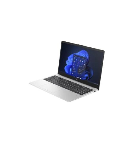 HP 250 G10 Core i3 13th Gen Laptop (Silver)