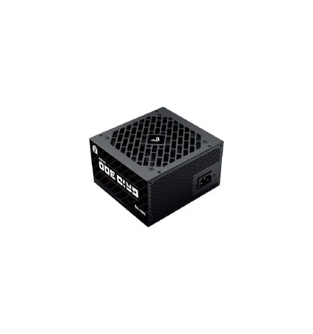 Value-Top GRID 300 300W