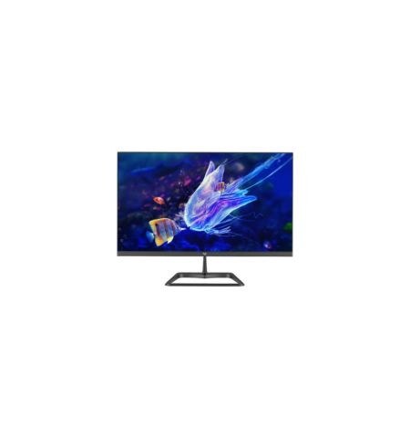 Value-Top S24IFR100 23.8" 100Hz FHD IPS LED Frameless Monitor