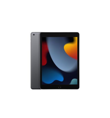 Apple iPad 256 GB SSD 10.2 Inch Space Gray Tablet