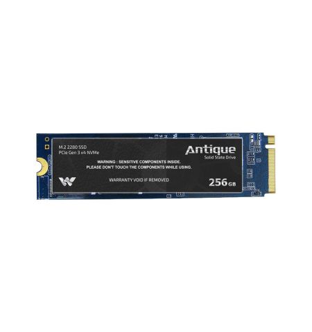 Walton Antique 256GB NVMe M.2 SSD