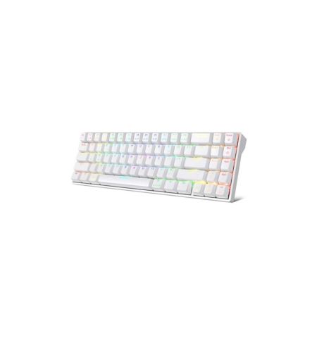 RK Royal Kludge RK71 Dual Mode RGB (Blue Switch) Mechanical Gaming White Keyboard