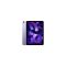 Apple IPad Air 10.9 Inch 8GB 256GB Multi-Touch Wi-Fi Purple Tablet