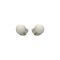 Sony WF-1000XM4 Silver Wireless Earbuds