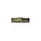 Apacer Panther-Golden 8GB 3200MHz Desktop RAM