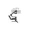 Zhiyun Crane 3S Handheld Stabilizer Gimbal
