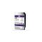 Western Digital 10TB Purple Surveillance Hard Drive