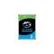 Seagate SkyHawk 2TB HDD