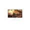 PC Power PCG24F100W 23.8 inch 100Hz IPS FHD Borderless LED Monitor