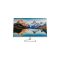 HP M32F 31.5 Inch Full HD FreeSync Monitor