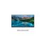 HP E22 G4 21.5-Inch FULL HD IPS Monitor
