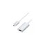 Yuanxin Type-C Male to HDMI Female White Converter